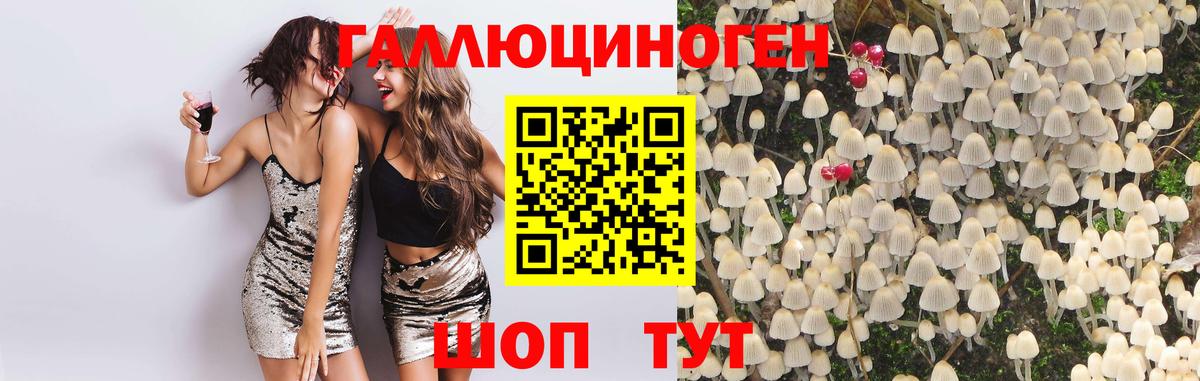 Людиново  Галлюциногенные грибы Psilocybine cubensis  где найти наркотики  Вход с VPN 