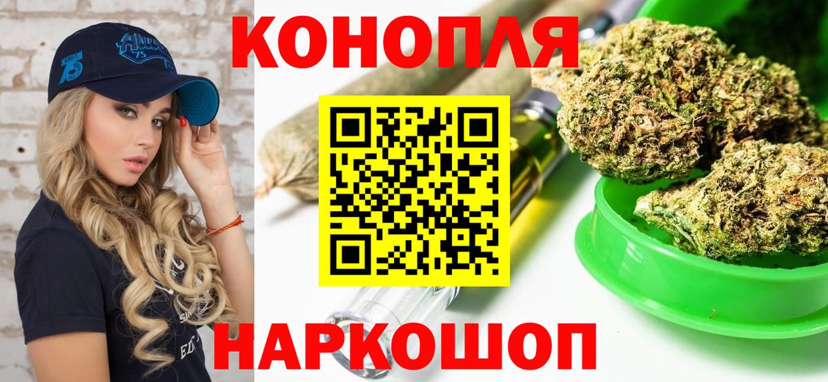 Бошки Шишки планчик Людиново